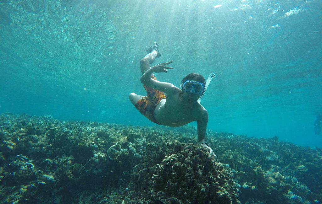 snorkeling4